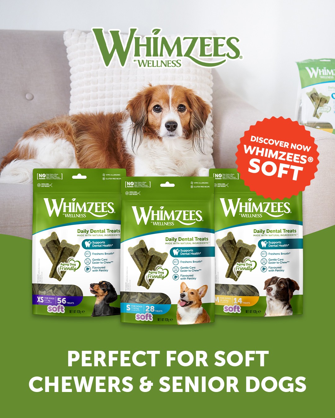 Online Pet Food Singapore